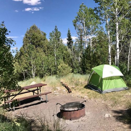 Lower Lehman Creek Campground