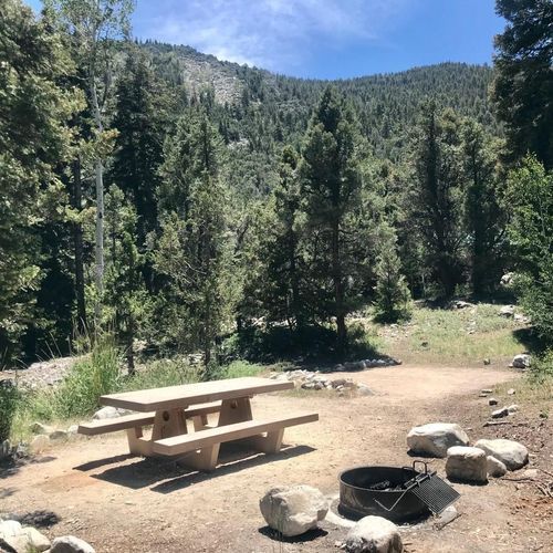 Upper Lehman Creek Campground