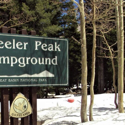 Wheeler Peak Campground