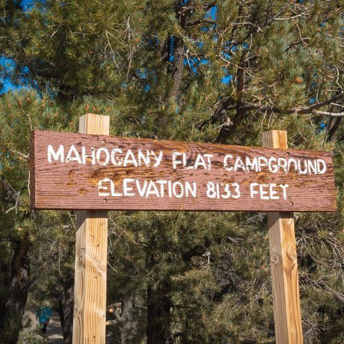Mahogany Flat Campground (Primitive)