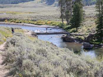 Lamar Valley Trail