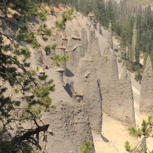 The Pinnacles Trail