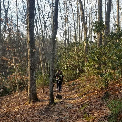 Butcher Branch Trail
