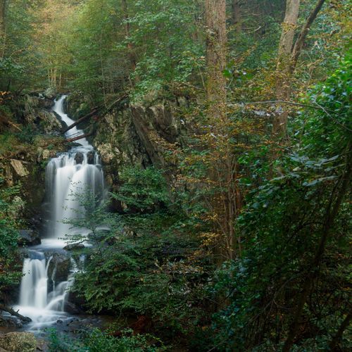 Doyles River Trail