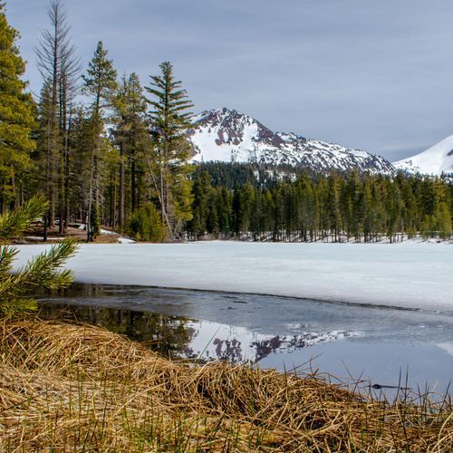 Reflection Lake Trail
