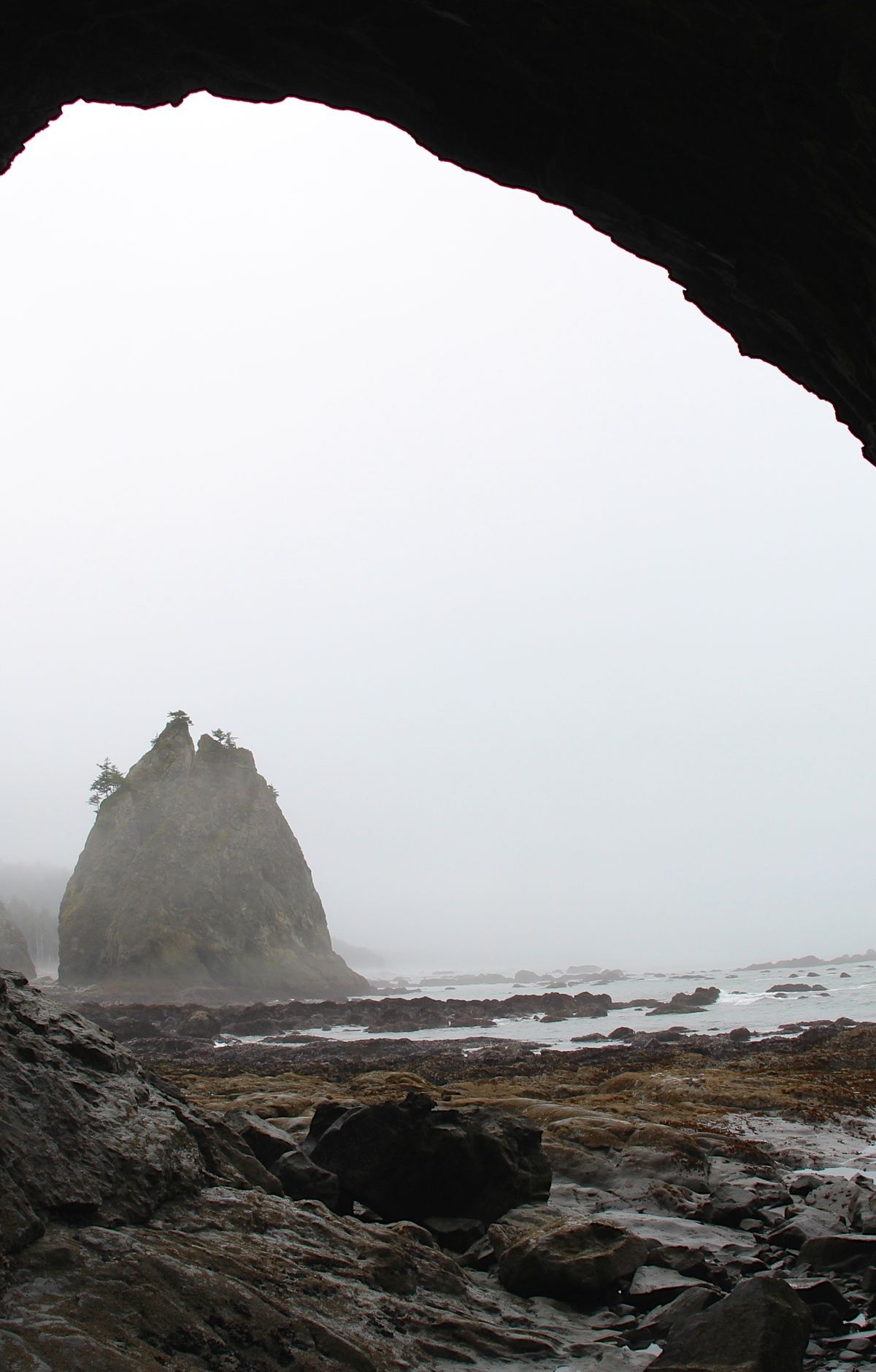 Hole in the Wall Trail, Olympic National Park