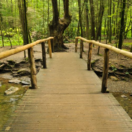 Sugarland Mountain Trail