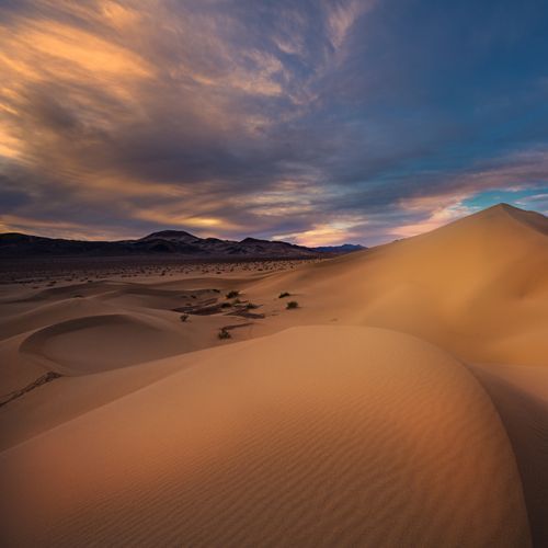 Ibex Dunes