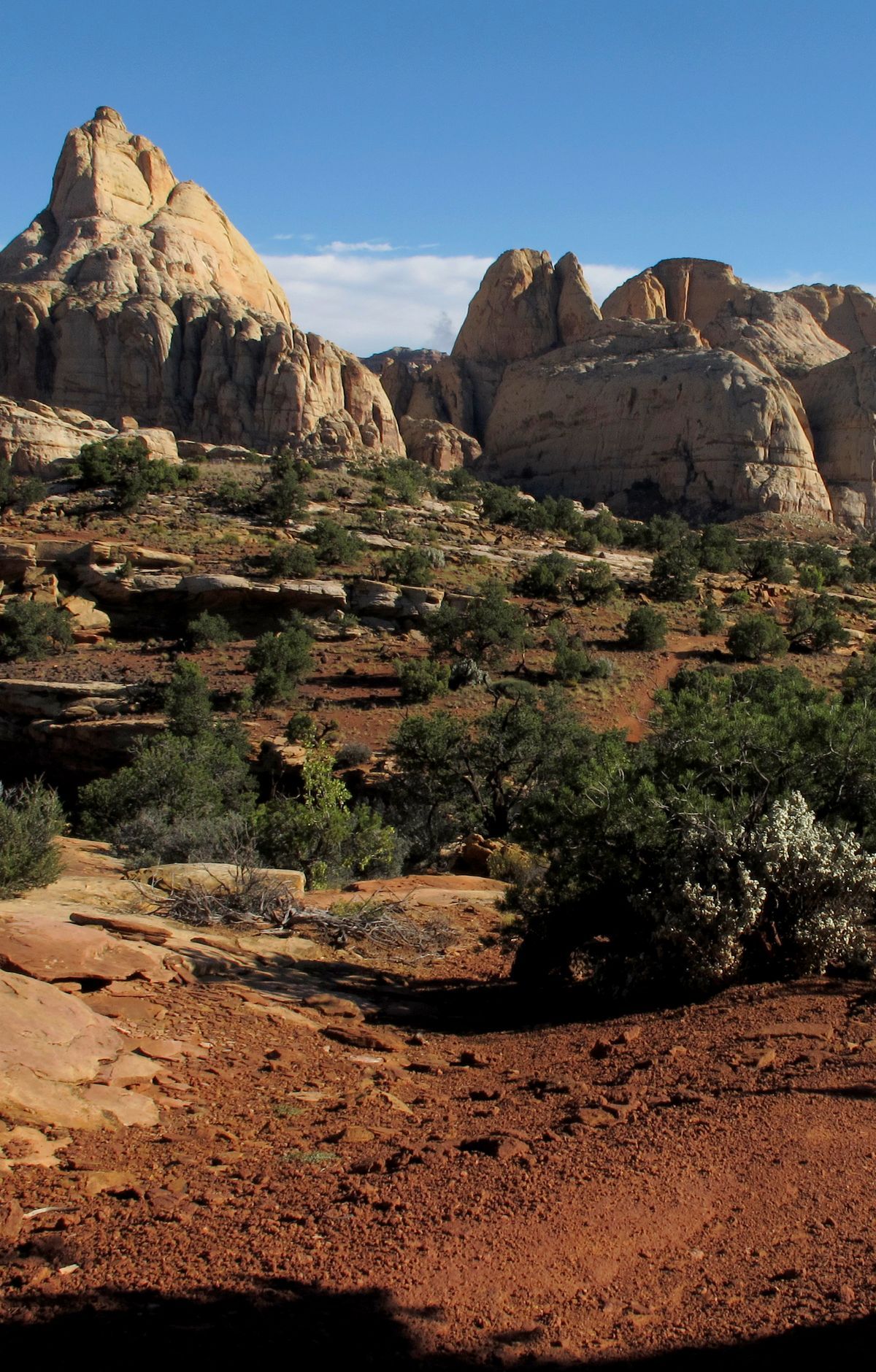 Cohab Canyon Trail, Capitol Reef National Park