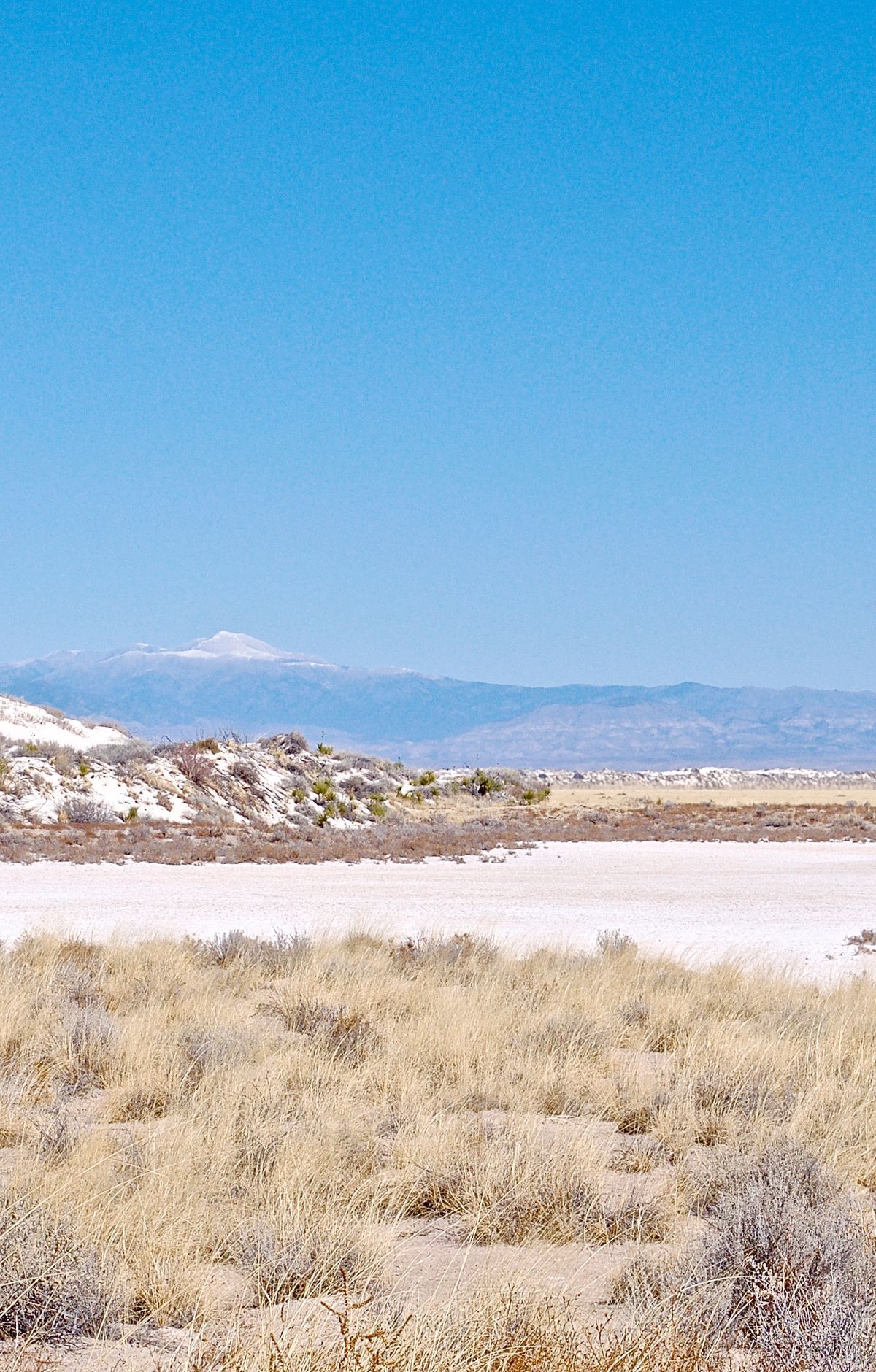 Sand Sledding at Roadrunner and Alkali Flat, White Sands National Park