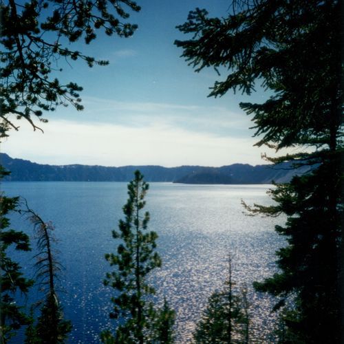 Viewpoint