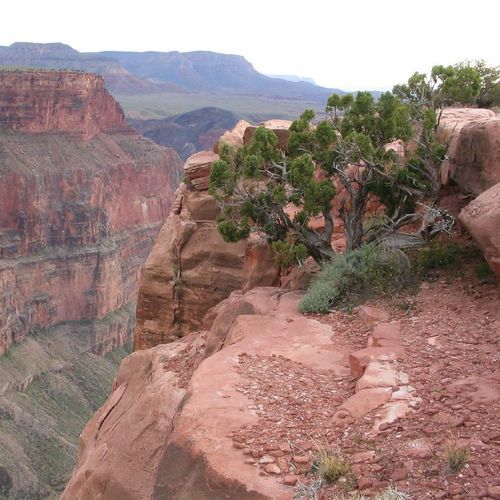 Toroweap Overlook