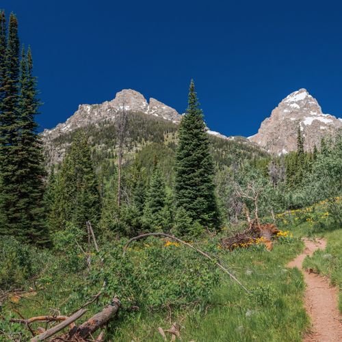 Bradley Lake Trail