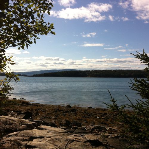 Viewpoint