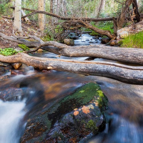 Lexington Creek