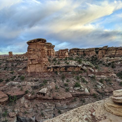 Viewpoint