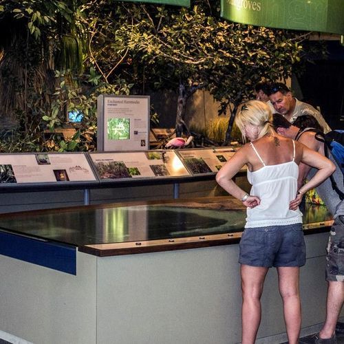 Florida Keys Eco-Discovery Center