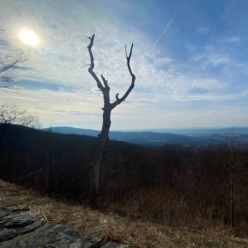 Browntown Valley Overlook