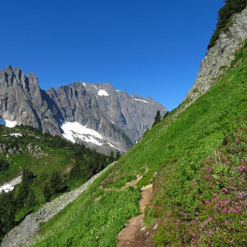 Sahale Arm Trail