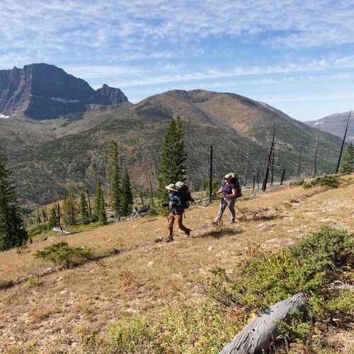 Colter/Wolverine Trailhead Trail