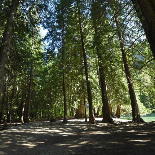 Harlequin Campground