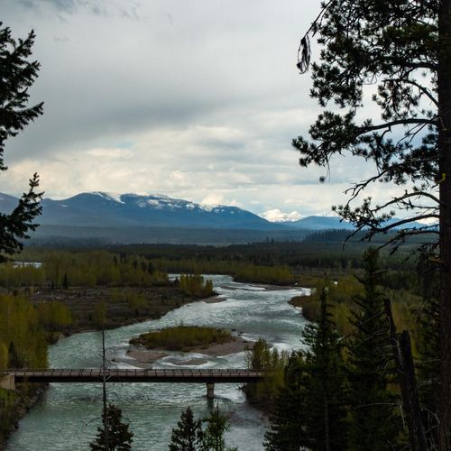 Logging Creek