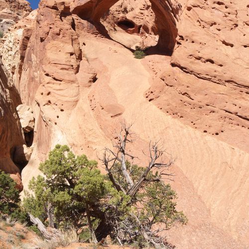 unnamed Arch