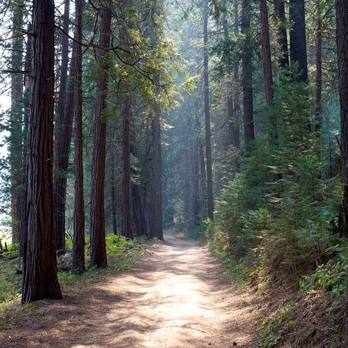 Wawona Point