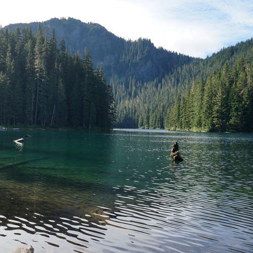 Gobbler's Knob Trail