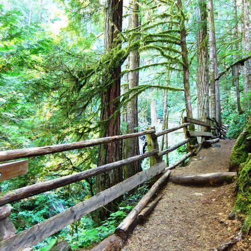 Hall of Mosess Trail