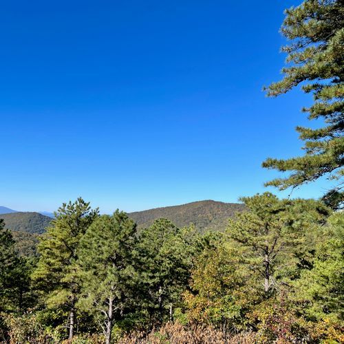 Sawmill Overlook