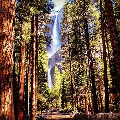 Lower Yosemite Fall View