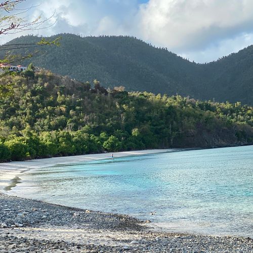 Francis Bay Trail