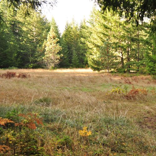 Little Bald Hills Trail