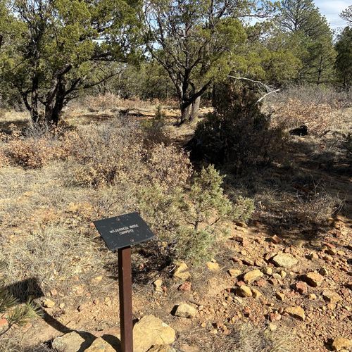 Wilderness Ridge Wilderness Campground