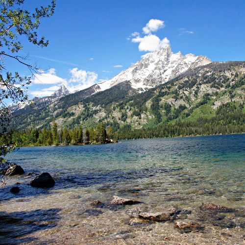 Bearpaw Lake Trail