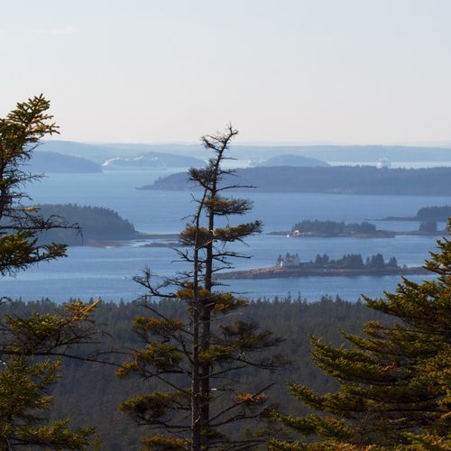 Alder Trail