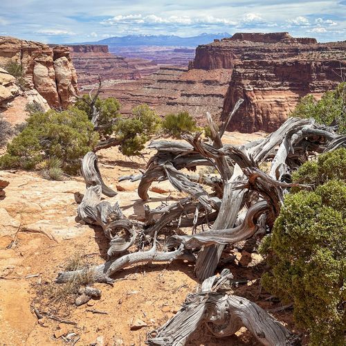 Viewpoint