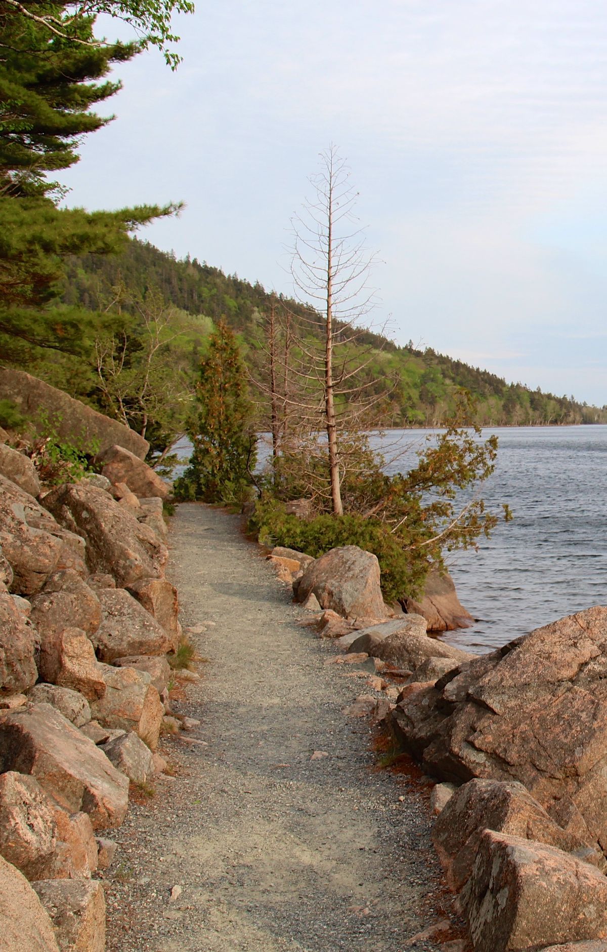 Jordan Pond Path, Acadia National Park