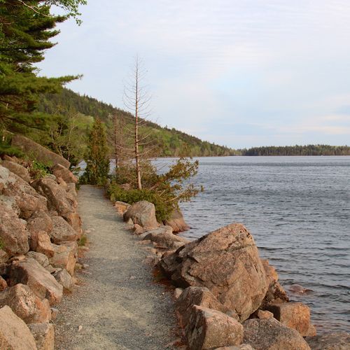 Jordan Pond Path