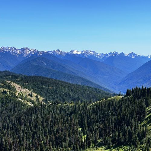 Viewpoint