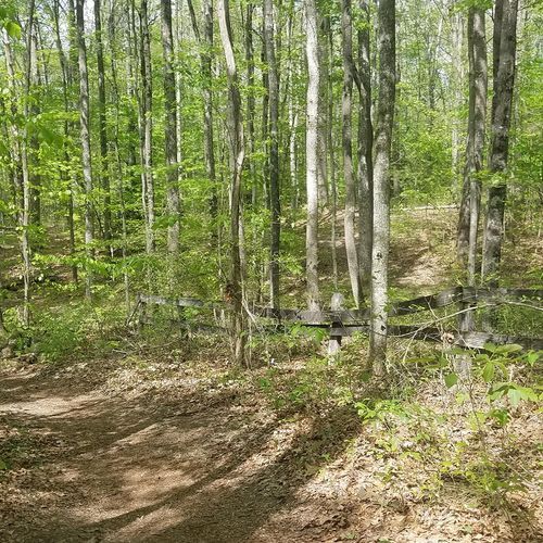 Park Loop Trail