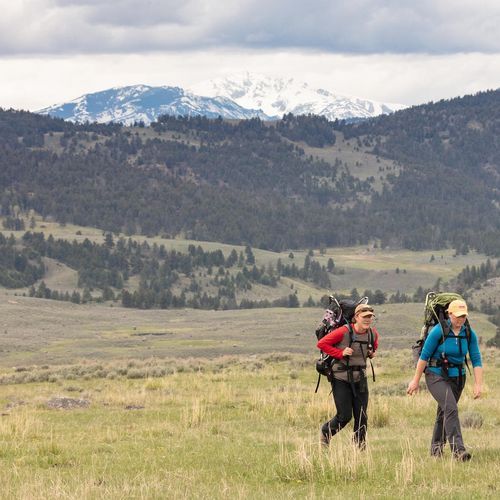 Buffalo Plateau Trail