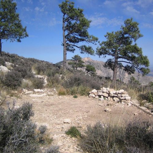 Guadalupe Peak Wilderness Campground