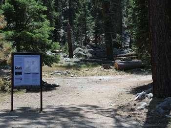 Lodgepole-Sherman Tree Trail