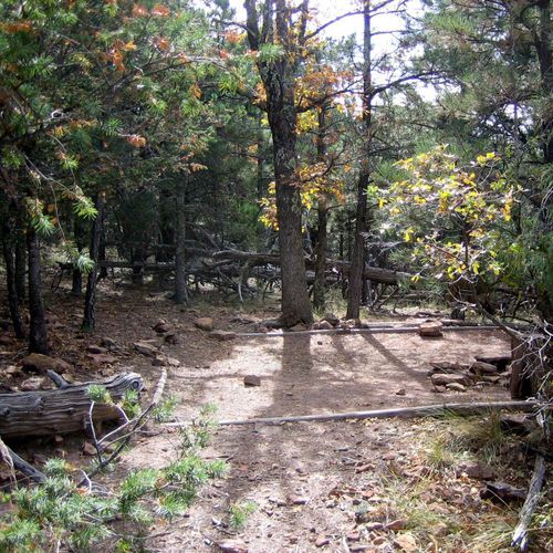 McKittrick Ridge Wilderness Campground