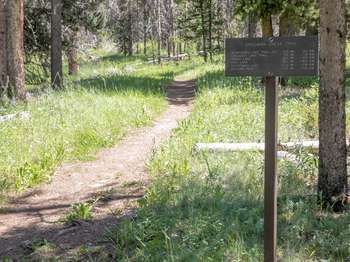 Specimen Creek