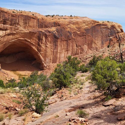 Alcove Spring Trail