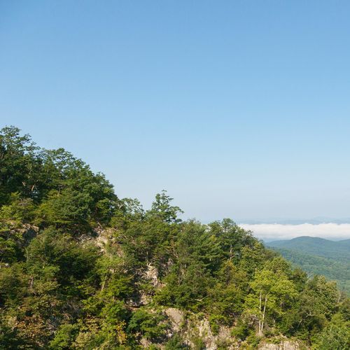 Overall Run Trail