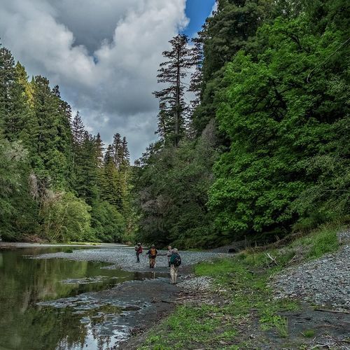 Redwood Creek Trail